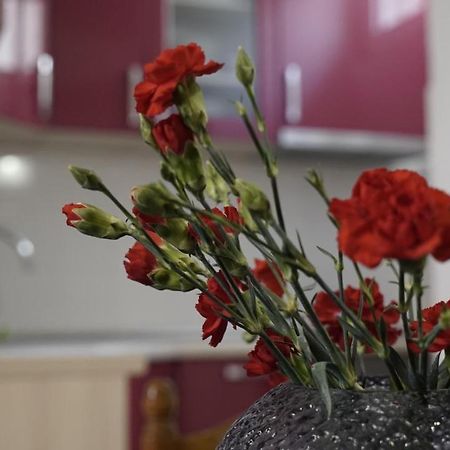 Priko Cetine Apartman Omiš Kültér fotó