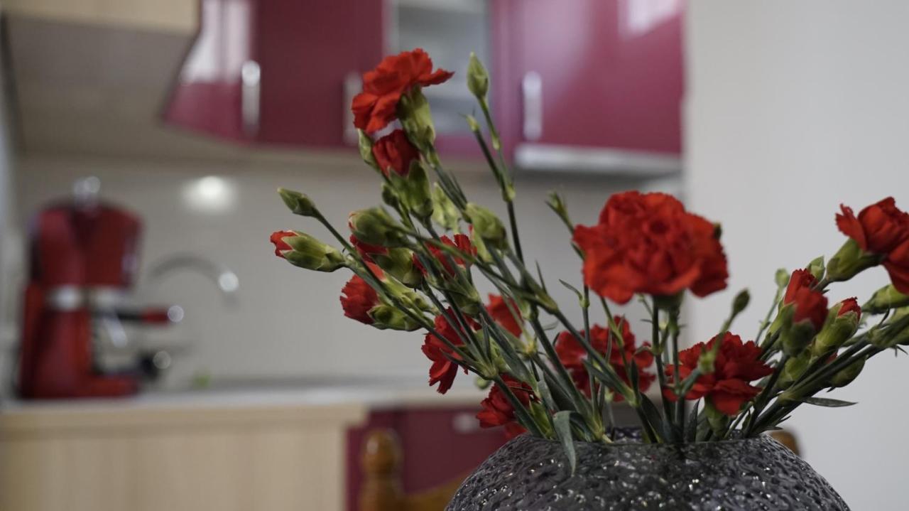 Priko Cetine Apartman Omiš Kültér fotó